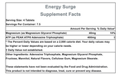 Hammer Nutrition Energy Surge - 30 Tablets - Run Republic