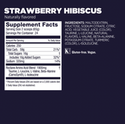 GU Roctane Energy Mix - Strawberry Hibiscus - Run Republic